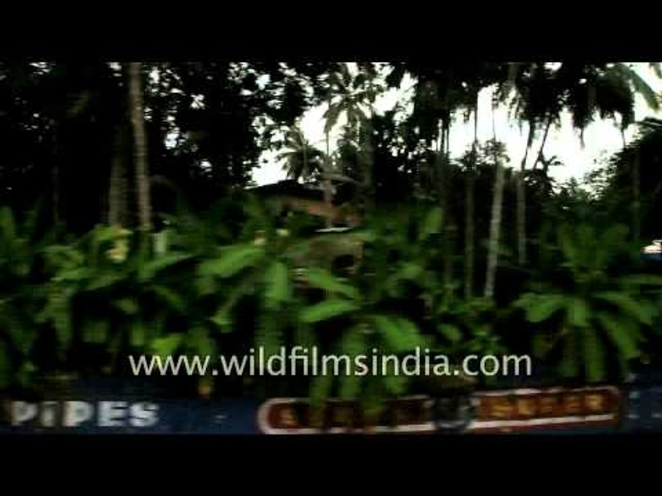 A train journey through Kerala