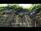 Fishes in shallow water near Pandav falls