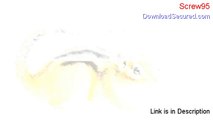 Screw95 Download Free (screw95)