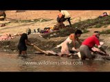 People wash clothes at Raja Ghat - Varanasi