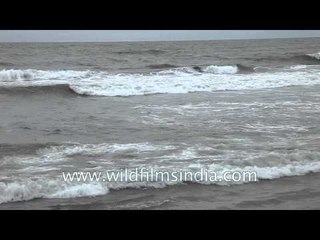Sea shore at Kozhikode beach - Kerala