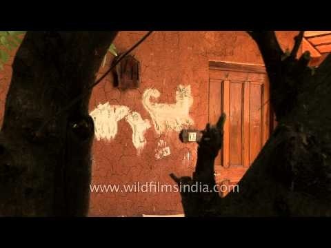 Ken River Lodge - Panna