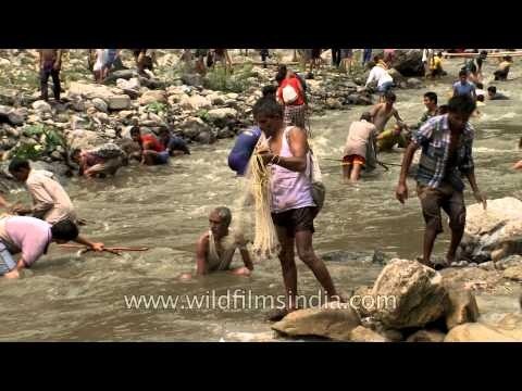 Participants fishing in Aglar river during fish killng festival
