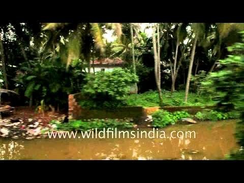 Lots of coconut trees everywhere: Train journey from Kerala to Delhi