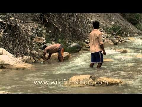 Young boys searching for fish in Aglar river - Maund Mela