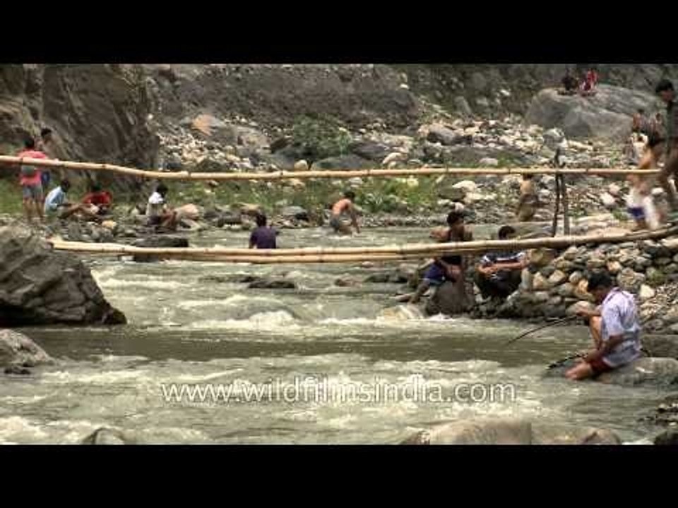 Pure revelry and destructive fun at fish killing festival