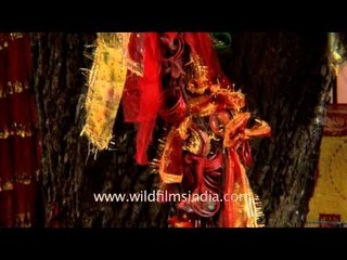 Holy tree in the complex of Kedar Gauri Temple- Bhubaneshwar