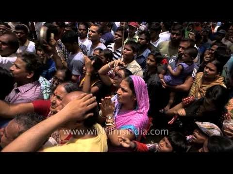 Devotees gather near chariots to seek blessings: Rath Yatra, Delhi