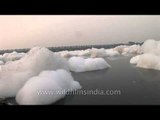 Pollution blights the Yamuna River in Delhi