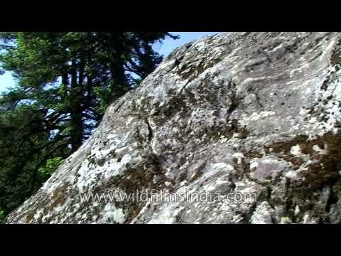 River Supin on the way to Har-ki dun trek