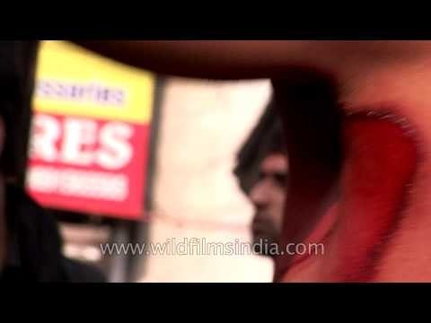 Close view of chest beating and self-flagellation - Muharram