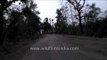 Road leading towards Jhinna forest camp in Panna, Madhya Pradesh