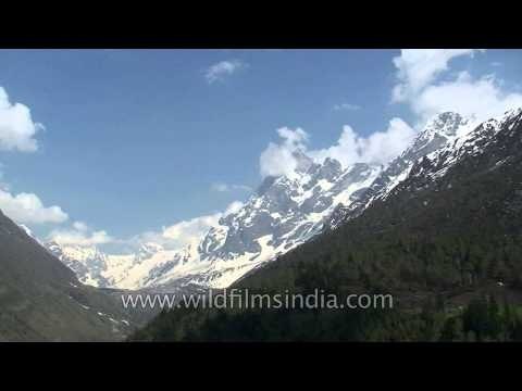 Swargorohini III peak as seen from Forest Rest House in Har ki dun