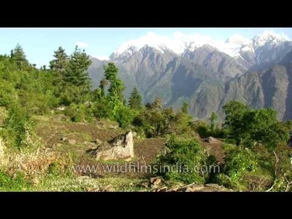 Uttarakhand kuari pass 1039 L56 2