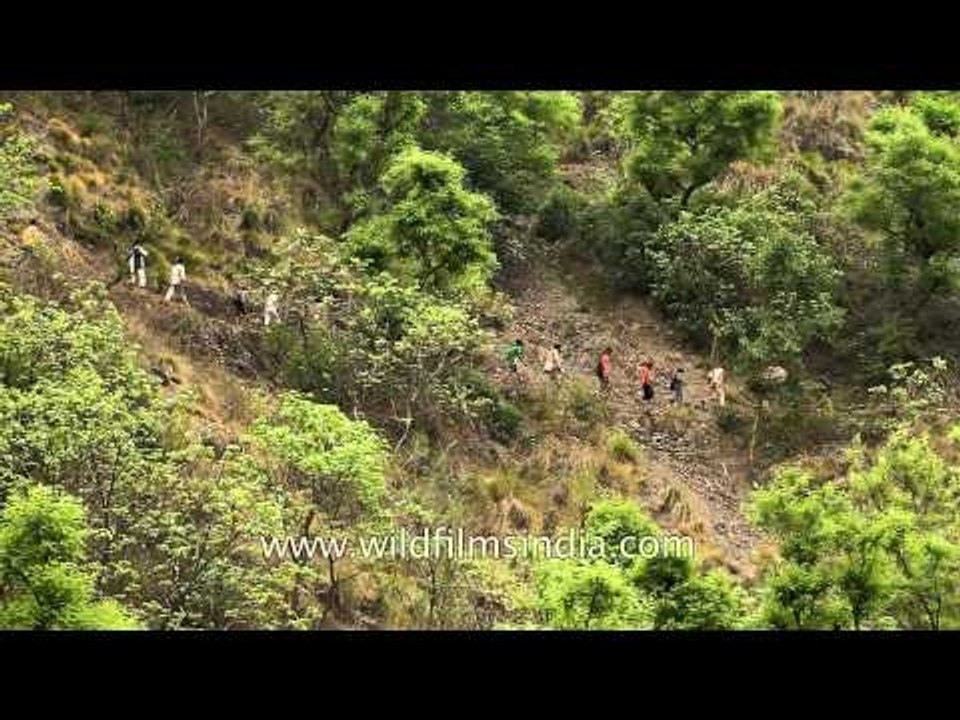 Villagers walk down to Aglar river to celebrate Maund Mela