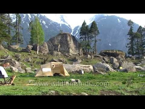 Camps trekking along the Tons river - Uttarakhand