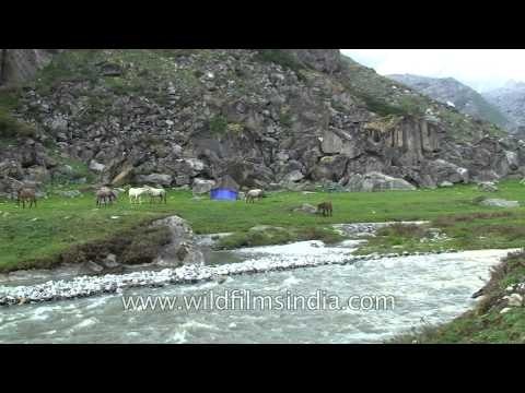 Dining and kitchen tents at campsite near Har-ki-dun