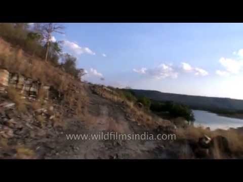 Passing through Ken river inside Panna Tiger Reserve