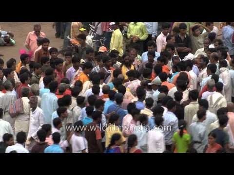 Devout Hindus soak in religious fervour - Jagannath Rath Yatra