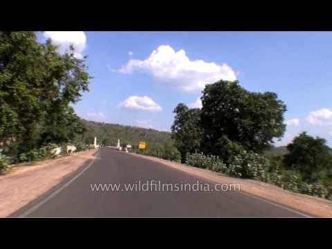 Karnavati Interpretation centre to Panna Tiger Reserve, MP