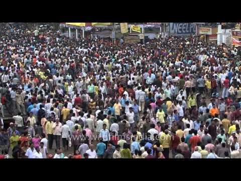 Scores of devotees at Rath Yatra or chariot procession in Puri
