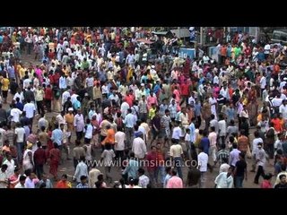 Much awaited festival for Odiya community - Rath Yatra