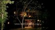Night view of Tree House Hideaway - Bandhavgarh