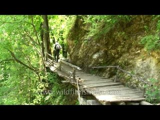 Wooden bridge on the trek to Har ki Dun