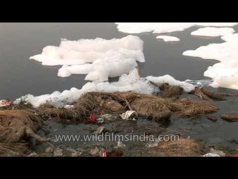 Clean Yamuna: a mission impossible?