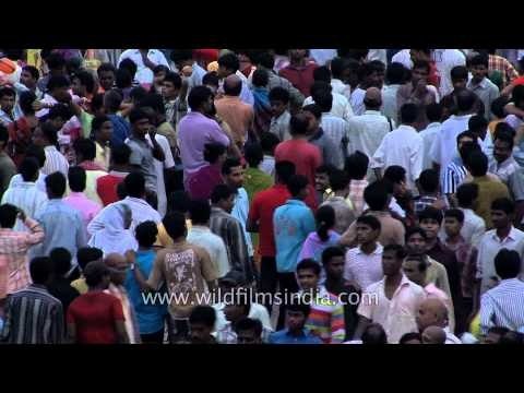 Mass of humanity: devotees pull a chariot of Lord Jagannath - Puri