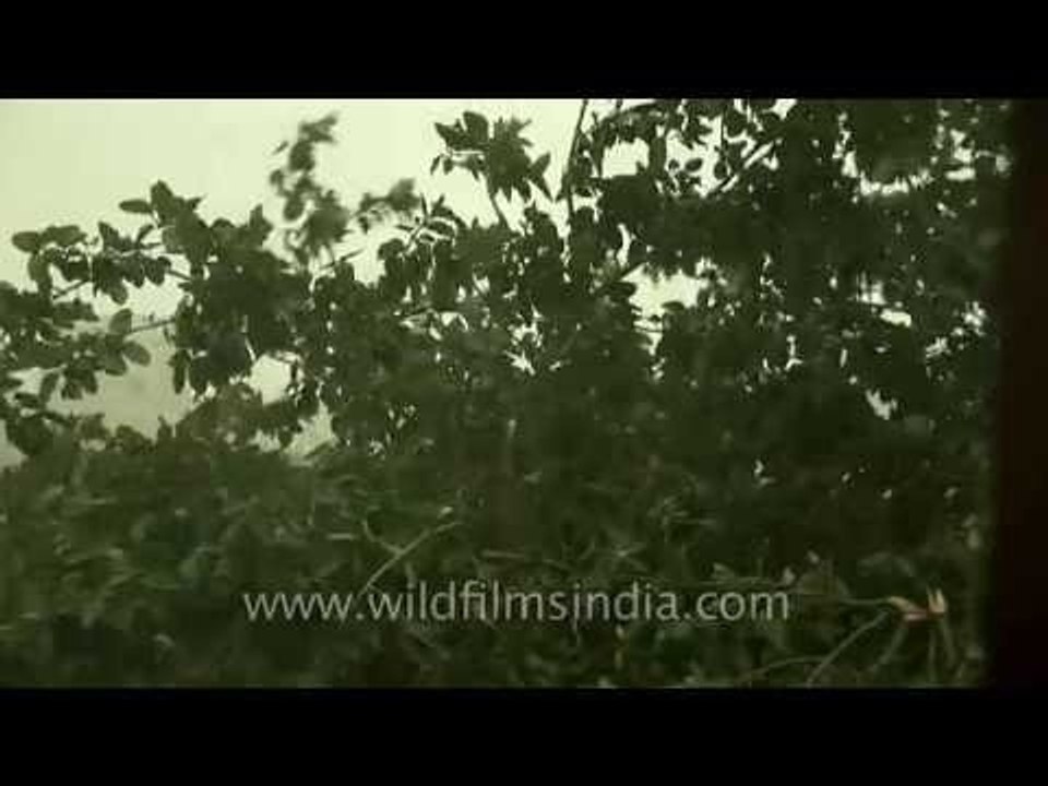 Heavy rain in Delhi city