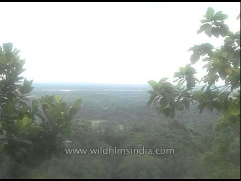 Border Security Force (BSF) on patrol at Bangladesh border