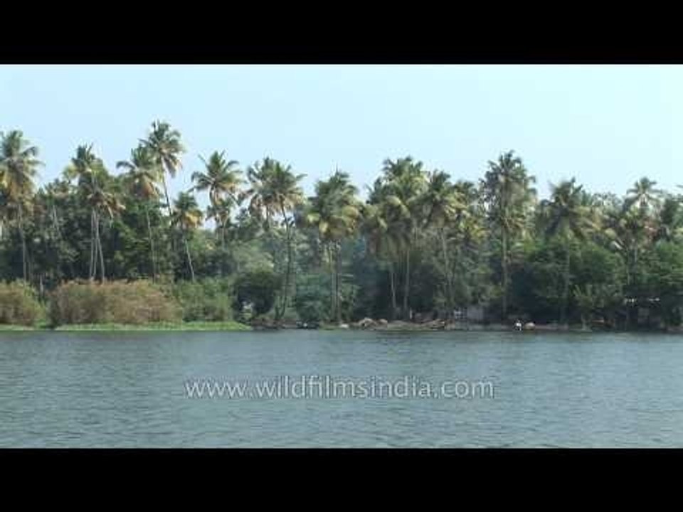 Sailing through backwaters of Kerala