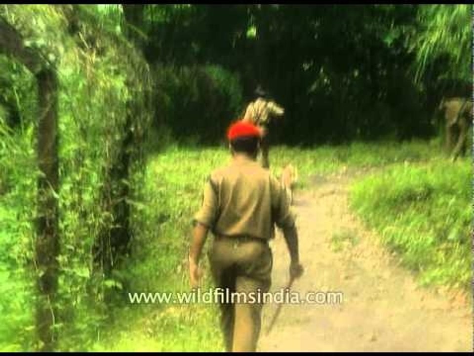 Border Security Force of India on patrol at Bangladesh border fence