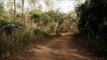 Road heading towards cottages of Ken River Lodge