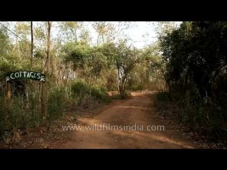 Road heading towards cottages of Ken River Lodge
