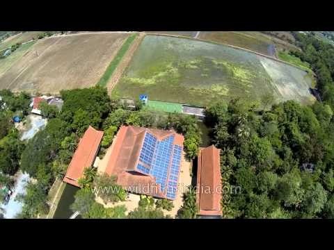 Aerial view of solar panel installation at Buddhist temple in Nakhon Pathom province