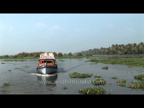 Houseboat on Kerala backwaters, India