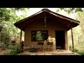 Village style hut of Ken River Lodge