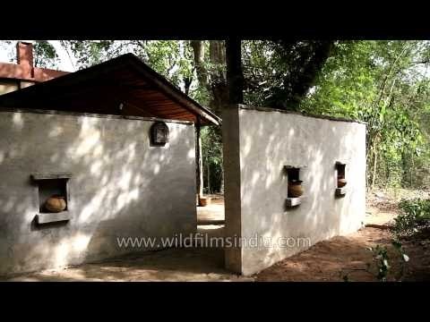 View of Ken River Lodge's hut - Panna, Madhya Pradesh