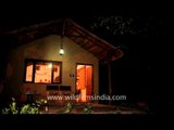 Night view of Ken River Lodge - Panna National Park
