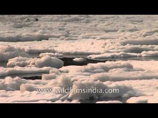 This is the Yamuna river water we drink in Delhi