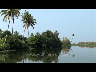 Backwaters of Kerala : a coastal paradise