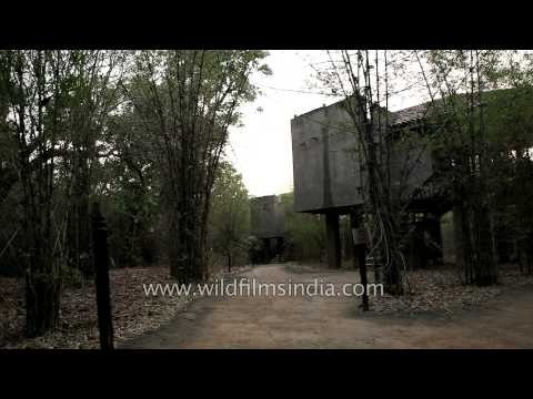 Stilt cottage of Kings Lodge, Bandhavgarh