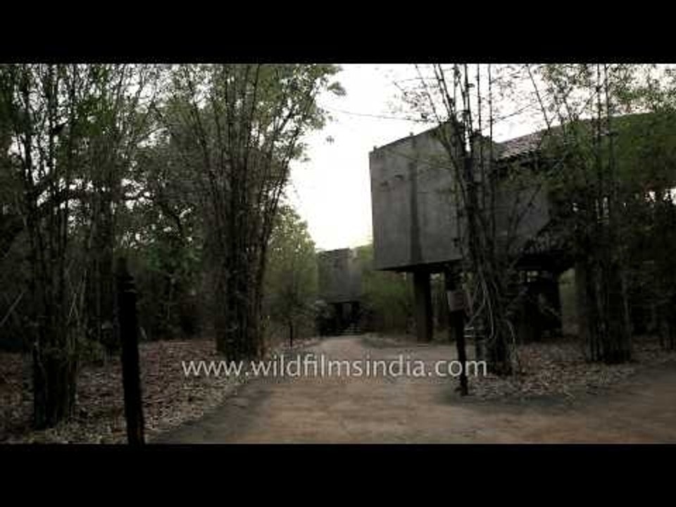 Stilt cottage of Kings Lodge, Bandhavgarh