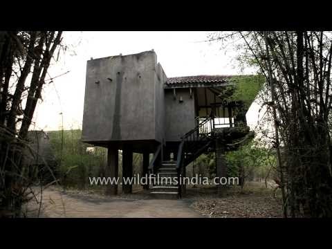 Cottage on stilts at Kings Lodge, Bandhavgarh