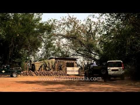 Guests heading towards Ken River Lodge