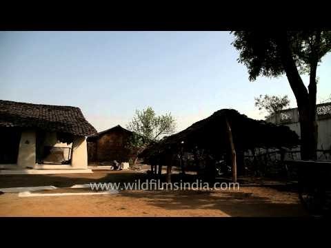 Rural Madhya Pradesh: a village near Bandhavgarh