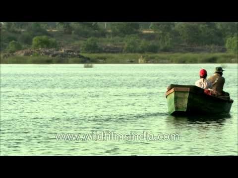 Boat ride on Ken river, Panna National Park