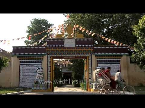 Devotees offer prayers at Buddhist monastery at Sarnath